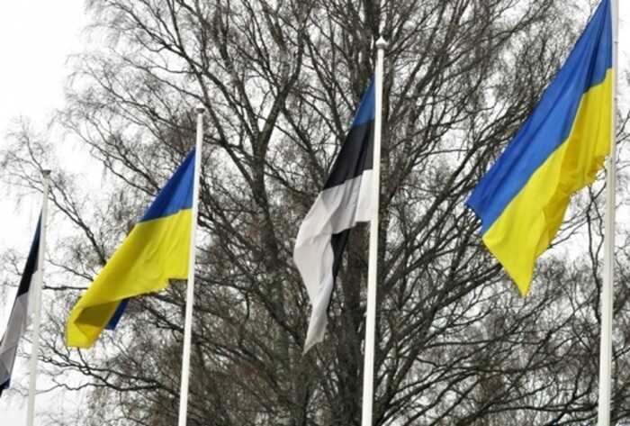 Естонія закупить у своїх виробників озброєння для України на 100 мільйонів євро